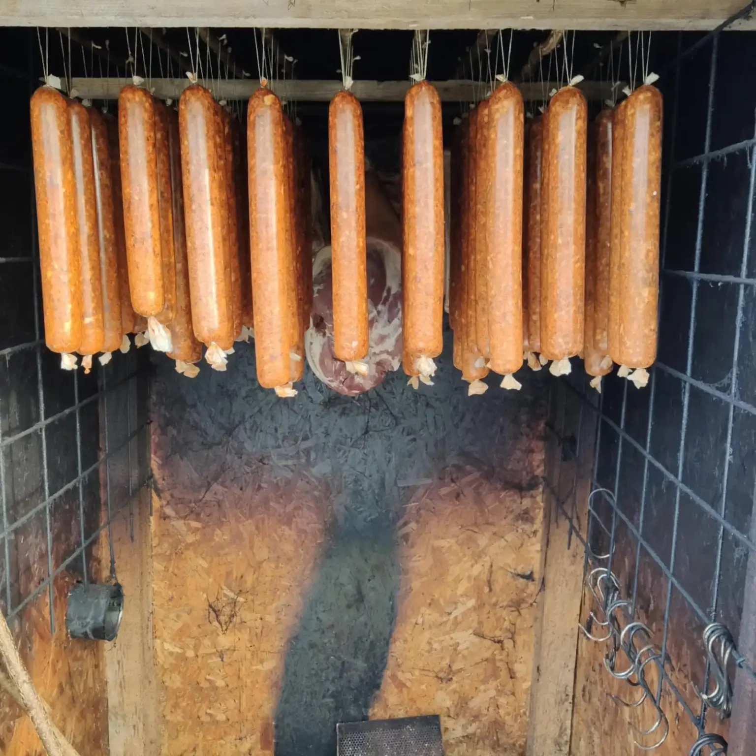 mangalica-es-sertes-farm-05