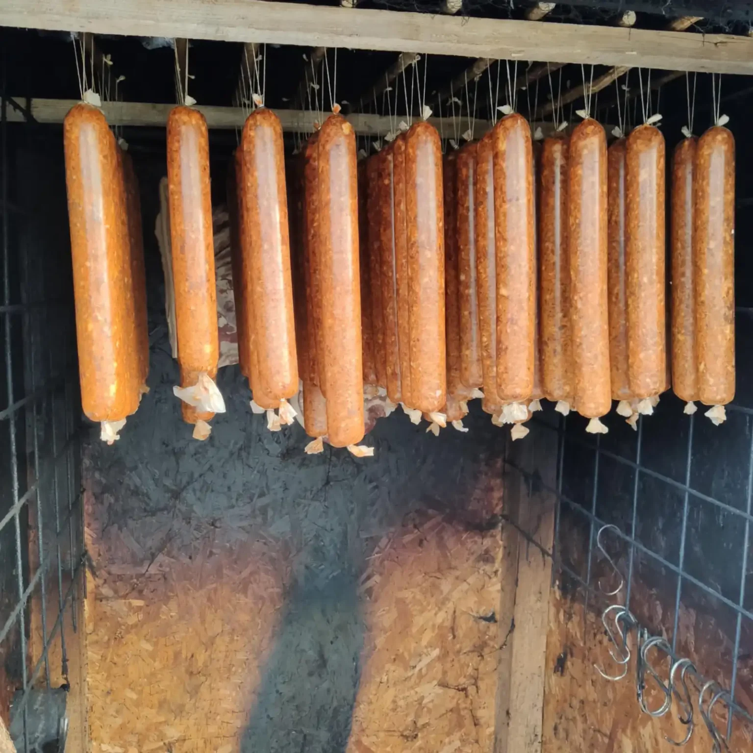 mangalica-es-sertes-farm-06