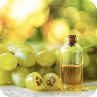 Szolomagolaj_kategoria